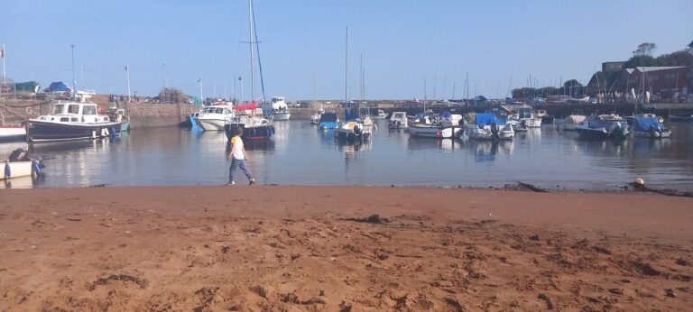 Cleaner water for the Bay!